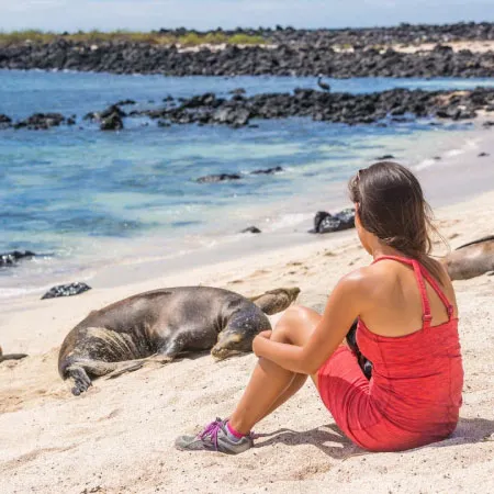 Tourist seeing sea lions in the Galapagos Islands
