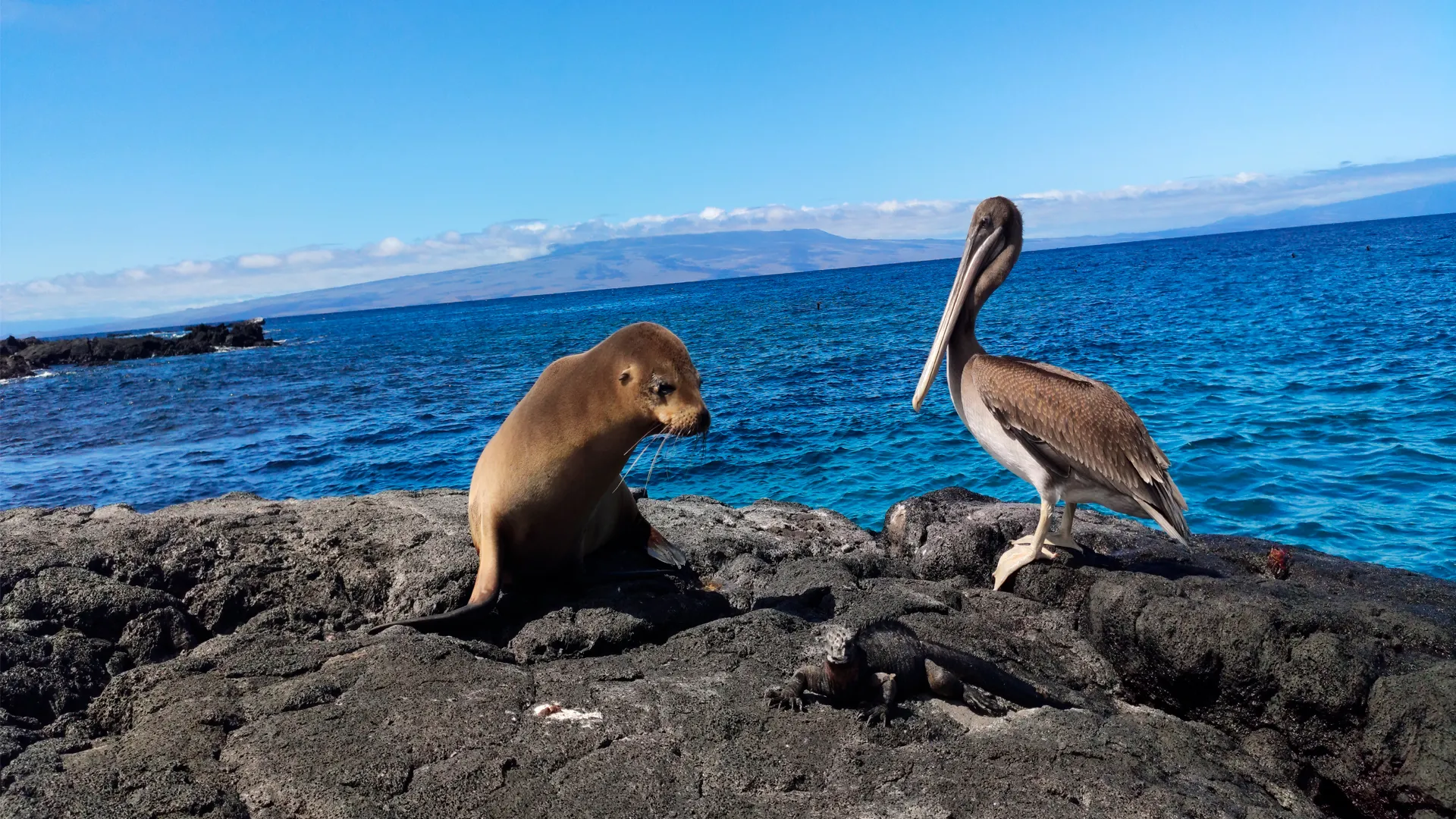 Galapagos Expedition Land Based Tours